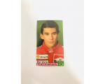 Figurinha Multi Editora Senna (J� Colada)